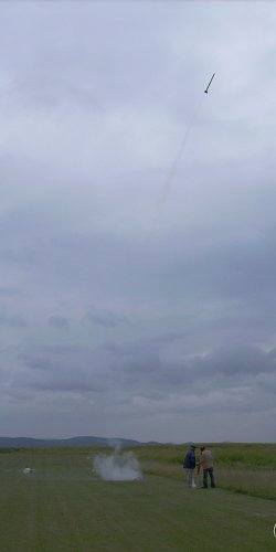 2013 Suche 29062013 Olivera